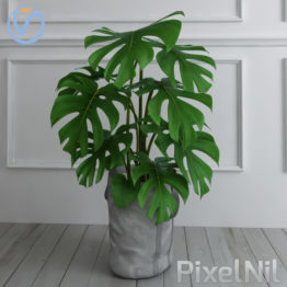 PLANT_PIXELNIL 01