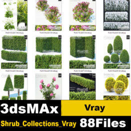 Shrub_ collections Vray