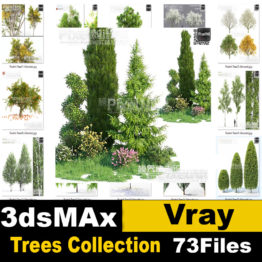 Trees collection Vray