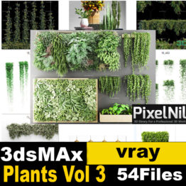 Plants Vol 3