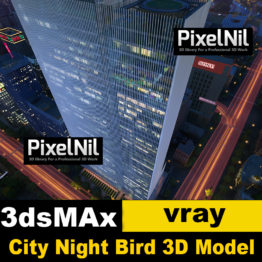 City Night bird 3D model animation Project files