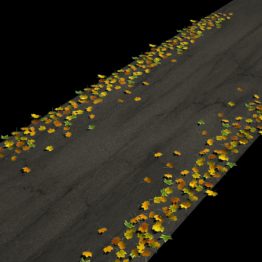 ROAD AND LEAVES 04