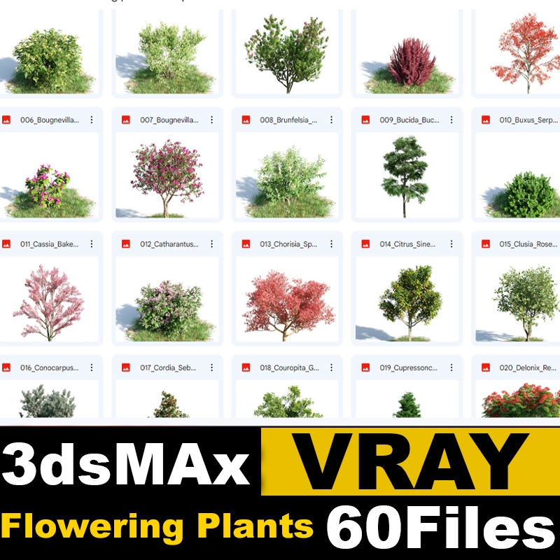 3D96 - Flowering plants