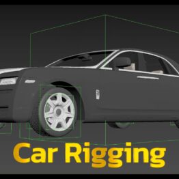 Car RIGGING