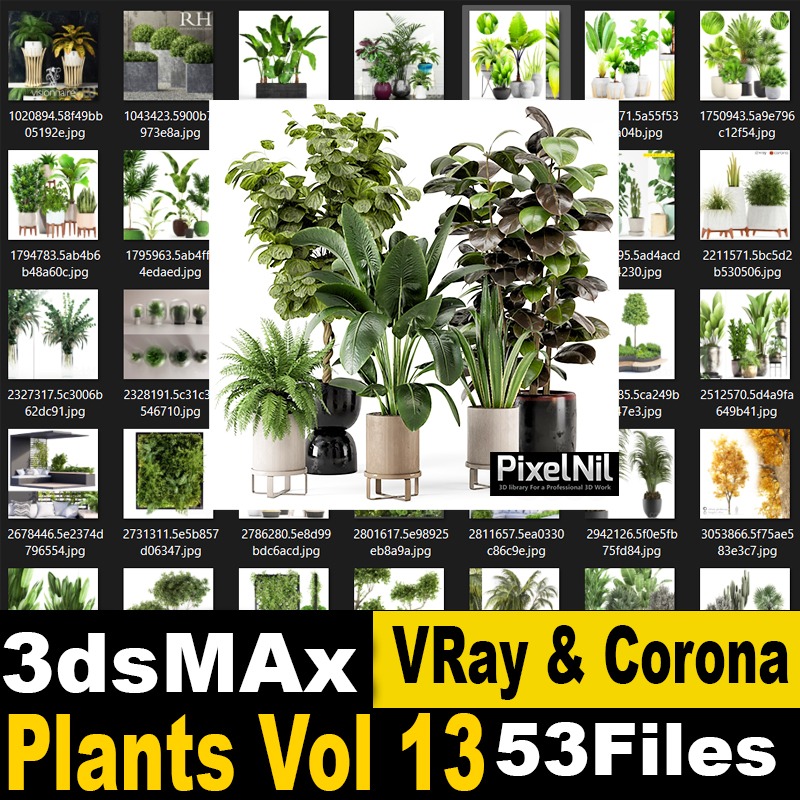 plants vol 13