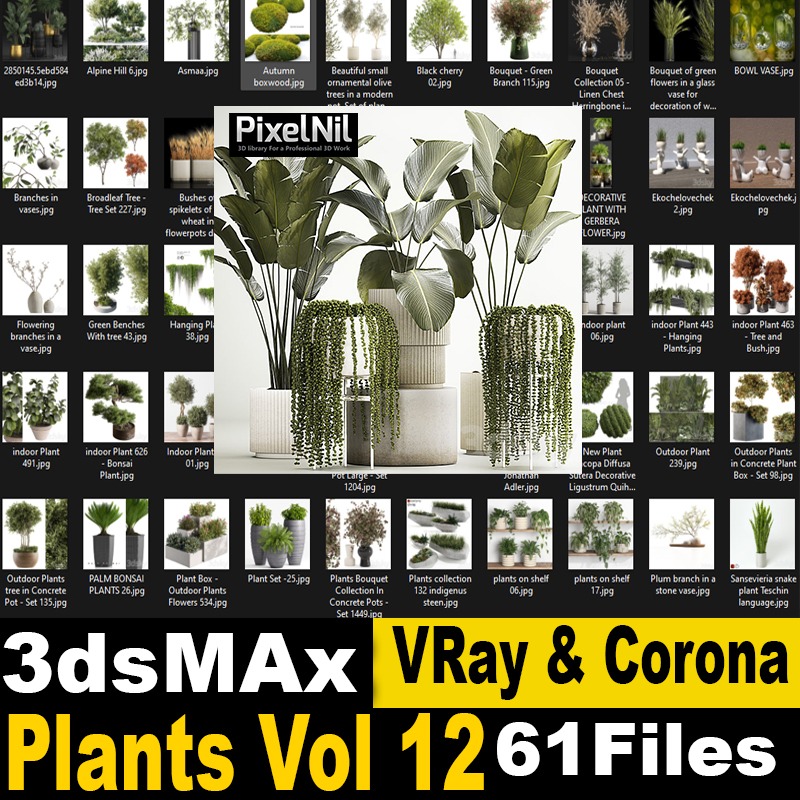 plants vol 12