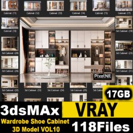 Wardrobe Shoe Cabinet 3D Model VOL10